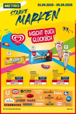 METRO Prospekt (gültig bis 6-09)