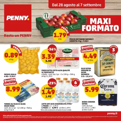 Volantino PENNY