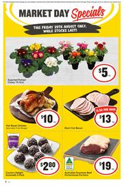 IGA catalogue Page 1