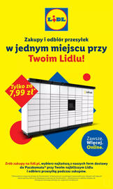 Lidl gazetka tydzień 36 Strona 14