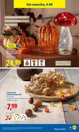 Lidl gazetka tydzień 36 Strona 31