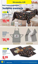 Lidl gazetka tydzień 36 Strona 32