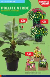 Volantino ALDI settimana 36 Pagina 30