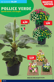 Volantino ALDI settimana 36 Pagina 30