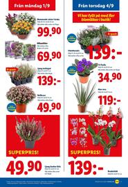 Lidl reklamblad vecka 36 Sida 20