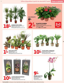Catalogue Auchan Drive page 13