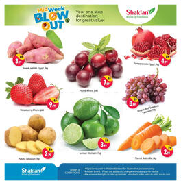 Shaklan catalogue Page 3