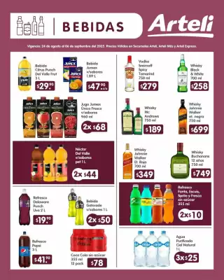 Catálogo Arteli (válido hasta 6-09)