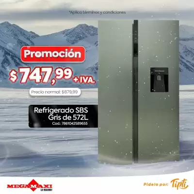 Catálogo Megamaxi (válido hasta 31-08)