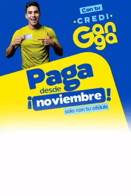 Catálogo La Ganga (válido hasta 30-11)