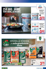 Metro Flugblatt Seite 17