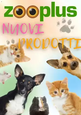 flyer-cover