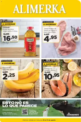 Folleto Alimerka