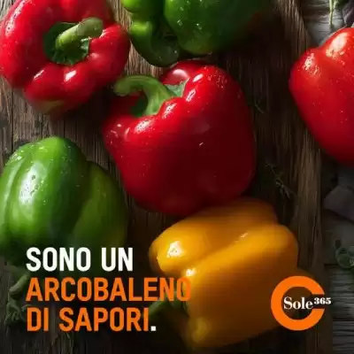 Volantino Sole 365 (valido fino al 31-08)