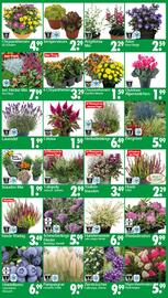 Wreesmann Prospekt woche 35 Seite 3