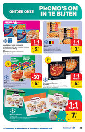 Carrefour folder Pagina 13