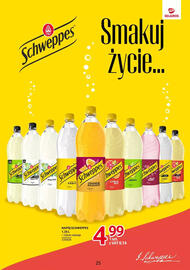 Selgros gazetka Strona 25