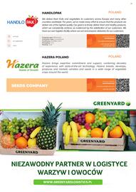 Fresh-market gazetka Strona 19