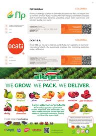 Fresh-market gazetka Strona 31