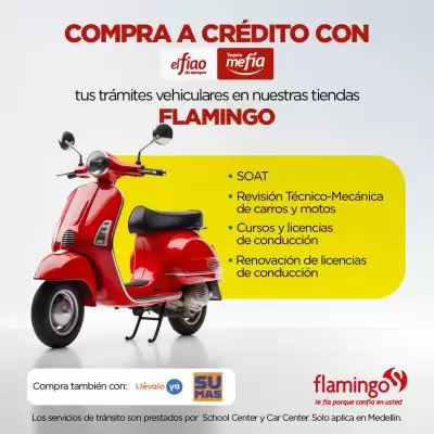 Catálogo Flamingo (válido hasta 31-08)