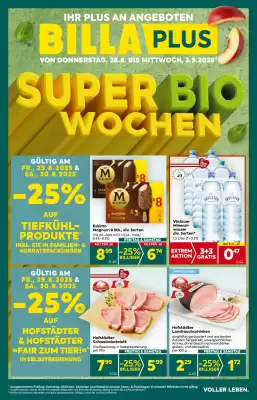 Billa Flugblatt (gültig bis 4-09)