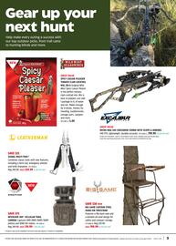 Canadian Tire flyer Page 3