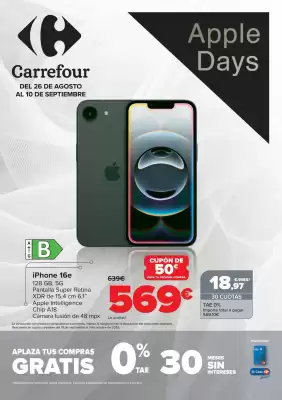 Folleto Carrefour