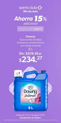 Catálogo Sam's Club (válido hasta 31-08)