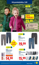 Lidl gazetka tydzień 36 Strona 13