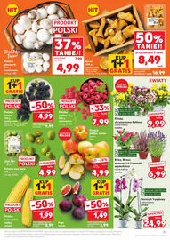Kaufland gazetka tydzień 35 Strona 23