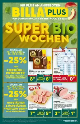 Billa Corso Flugblatt (gültig bis 3-09)