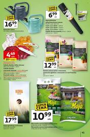 Auchan gazetka tydzień 35 Strona 41