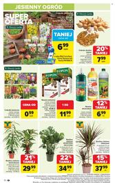 Carrefour gazetka Strona 10