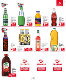 Selgros gazetka Strona 13