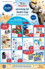 Budni Prospekt woche 37 Seite 1