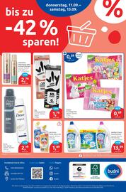 Budni Prospekt woche 37 Seite 8