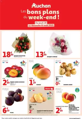 Auchan folder