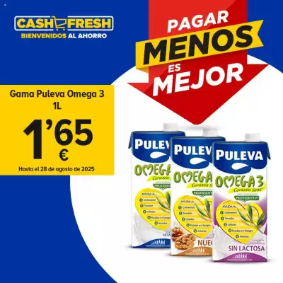 Folleto Cash Fresh (válido hasta el 28-08)