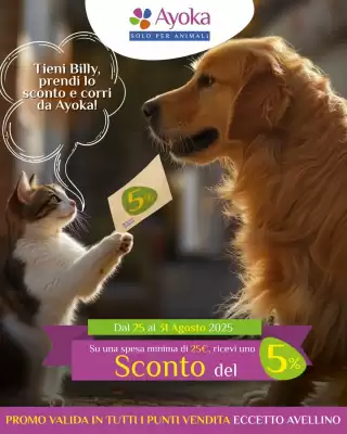Volantino Ayoka (valido fino al 31-08)