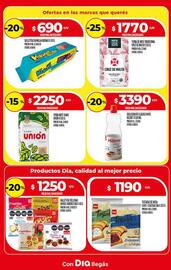 Catálogo Supermercados DIA semana 35 Página 10
