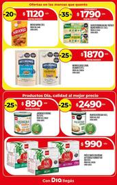 Catálogo Supermercados DIA semana 35 Página 11