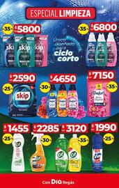 Catálogo Supermercados DIA semana 35 Página 19