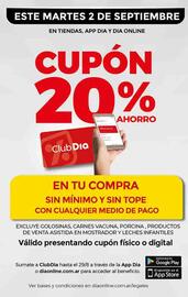 Catálogo Supermercados DIA semana 35 Página 20