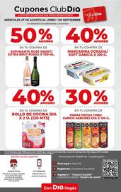 Catálogo Supermercados DIA semana 35 Página 21