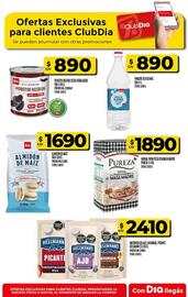 Catálogo Supermercados DIA semana 35 Página 41