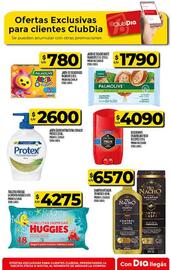 Catálogo Supermercados DIA semana 35 Página 51