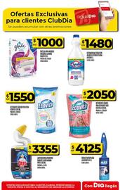 Catálogo Supermercados DIA semana 35 Página 55