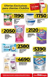 Catálogo Supermercados DIA semana 35 Página 56