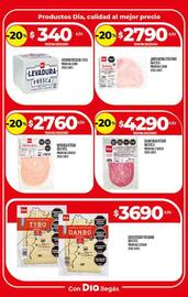 Catálogo Supermercados DIA semana 35 Página 8