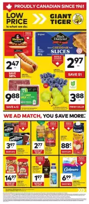 Giant Tiger flyer (valid until 3-09)